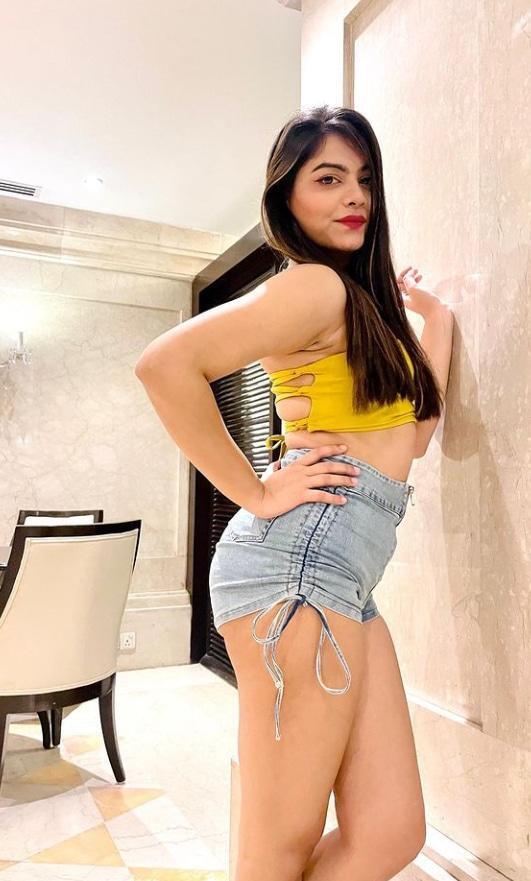 Ludhiana call girl service